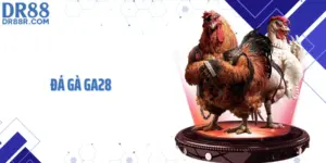 Đá gà GA28 Phát Trực Tiếp Với 150 Trận HD Mỗi Ngày