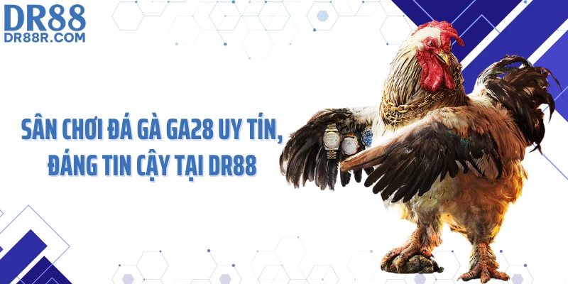 Sân chơi đá gà GA28 uy tín, đáng tin cậy tại DR88