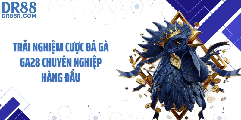 Trải nghiệm cược đá gà GA28 chuyên nghiệp hàng đầu